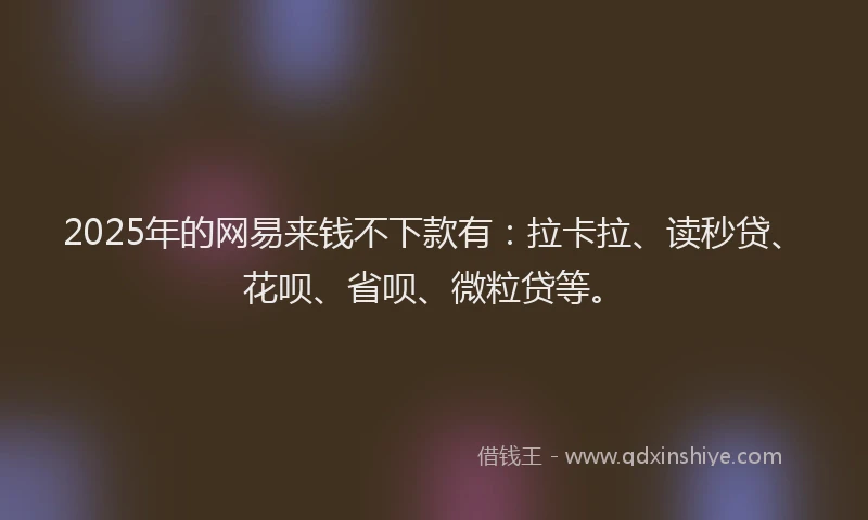 2025年的网易来钱不下款有：拉卡拉、读秒贷、花呗、省呗、微粒贷等。