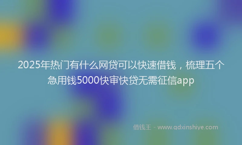 2025年热门有什么网贷可以快速借钱，梳理五个急用钱5000快审快贷无需征信app