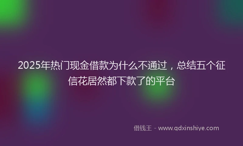 2025年热门现金借款为什么不通过，总结五个征信花居然都下款了的平台