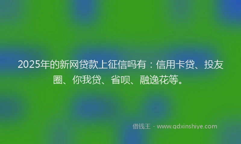 2025年的新网贷款上征信吗有：信用卡贷、投友圈、你我贷、省呗、融逸花等。