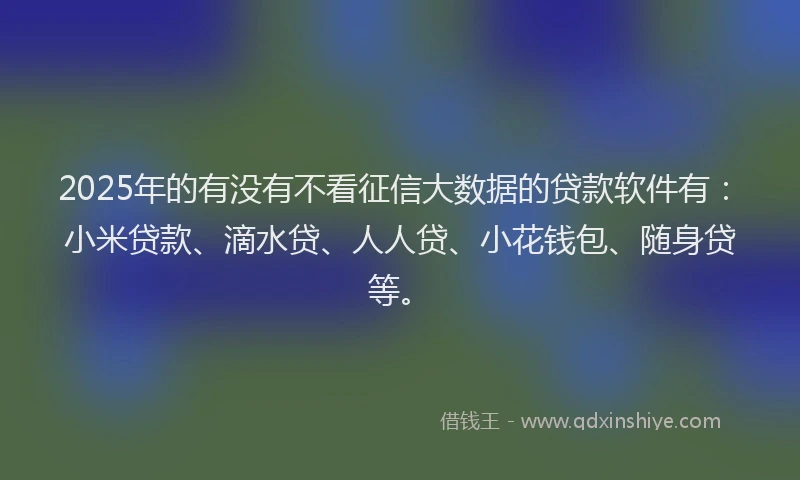 2025年的有没有不看征信大数据的贷款软件有：小米贷款、滴水贷、人人贷、小花钱包、随身贷等。