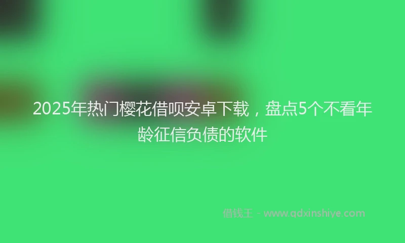 2025年热门樱花借呗安卓下载，盘点5个不看年龄征信负债的软件