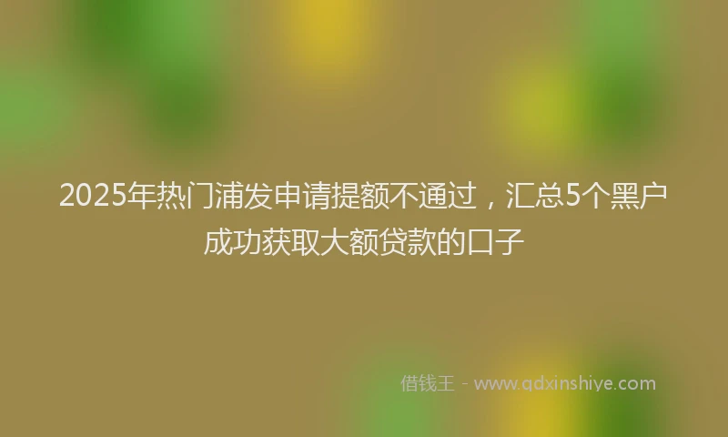 2025年热门浦发申请提额不通过，汇总5个黑户成功获取大额贷款的口子