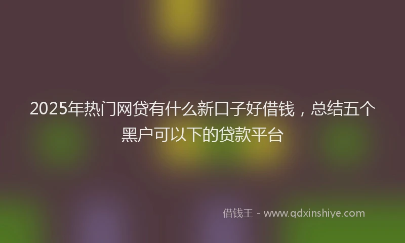2025年热门网贷有什么新口子好借钱，总结五个黑户可以下的贷款平台