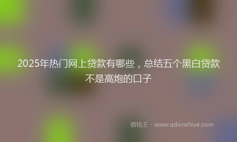2025年热门网上贷款有哪些，总结五个黑白贷款不是高炮的口子