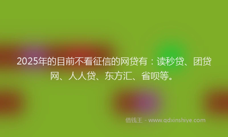 2025年的目前不看征信的网贷有：读秒贷、团贷网、人人贷、东方汇、省呗等。