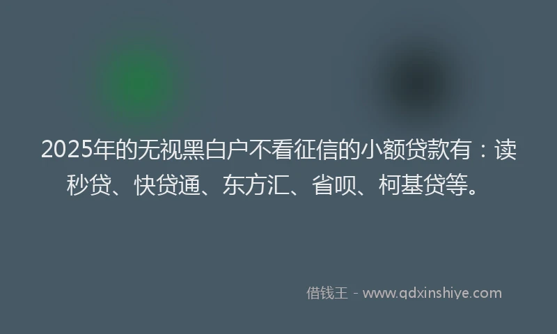2025年的无视黑白户不看征信的小额贷款有：读秒贷、快贷通、东方汇、省呗、柯基贷等。