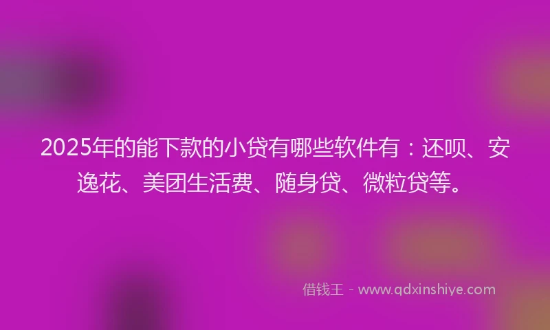 2025年的能下款的小贷有哪些软件有：还呗、安逸花、美团生活费、随身贷、微粒贷等。