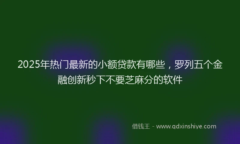 2025年热门最新的小额贷款有哪些，罗列五个金融创新秒下不要芝麻分的软件