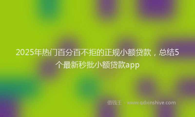 2025年热门百分百不拒的正规小额贷款，总结5个最新秒批小额贷款app