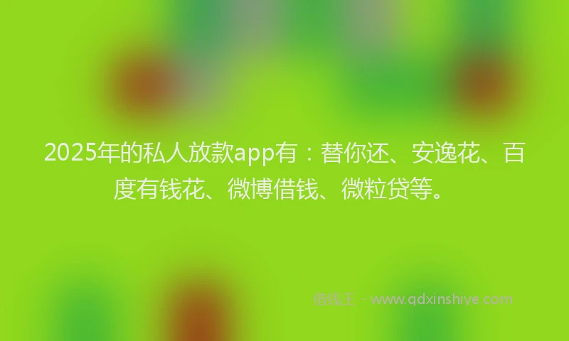 2025年的私人放款app有：替你还、安逸花、百度有钱花、微博借钱、微粒贷等。
