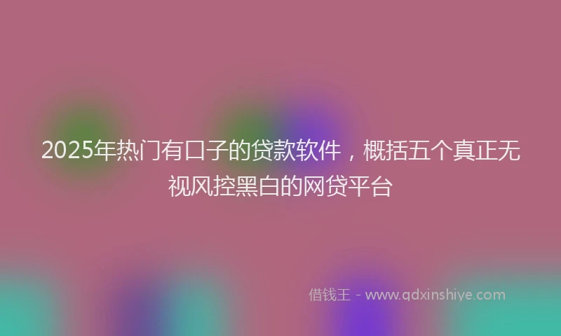 2025年热门有口子的贷款软件，概括五个真正无视风控黑白的网贷平台