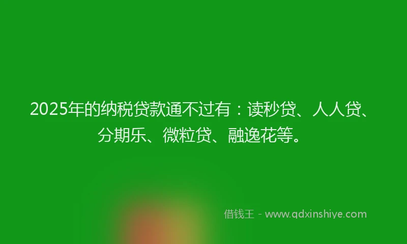 2025年的纳税贷款通不过有：读秒贷、人人贷、分期乐、微粒贷、融逸花等。