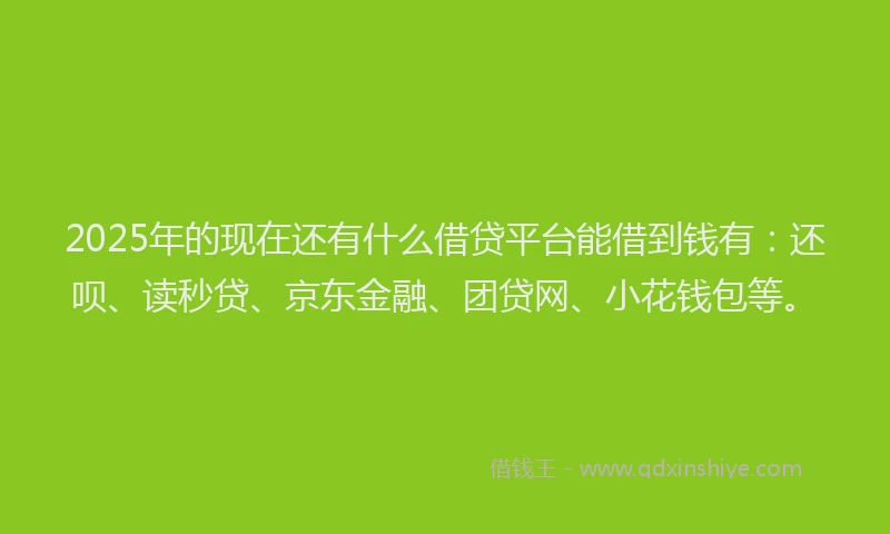 2025年的现在还有什么借贷平台能借到钱有：还呗、读秒贷、京东金融、团贷网、小花钱包等。