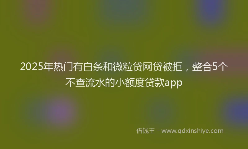 2025年热门有白条和微粒贷网贷被拒，整合5个不查流水的小额度贷款app