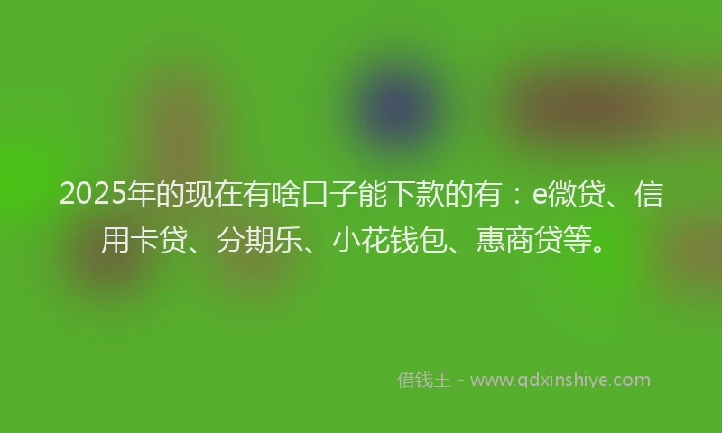 2025年的现在有啥口子能下款的有：e微贷、信用卡贷、分期乐、小花钱包、惠商贷等。