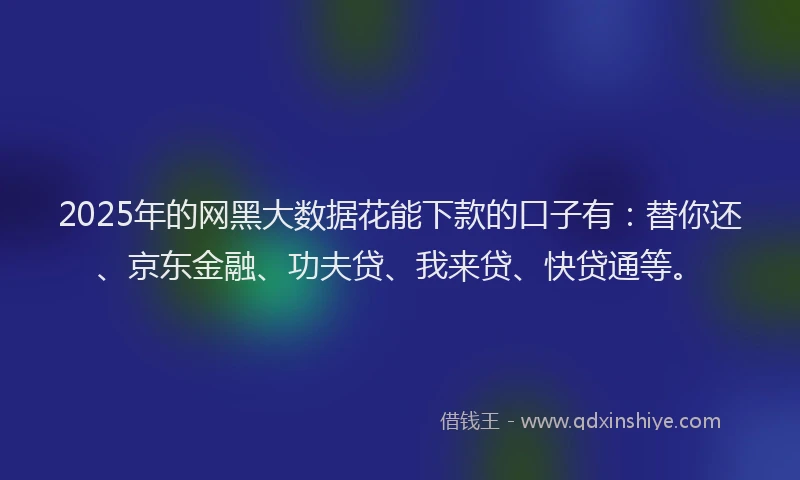 2025年的网黑大数据花能下款的口子有：替你还、京东金融、功夫贷、我来贷、快贷通等。