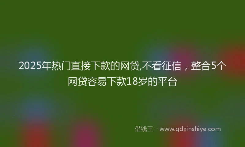 2025年热门直接下款的网贷,不看征信，整合5个网贷容易下款18岁的平台
