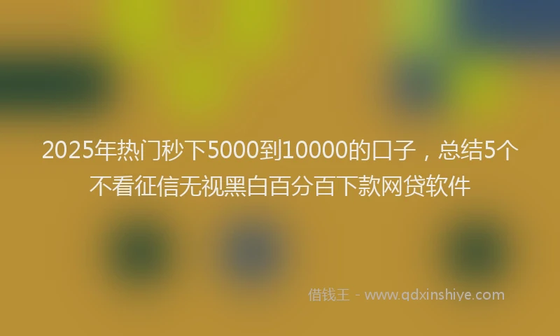 2025年热门秒下5000到10000的口子，总结5个不看征信无视黑白百分百下款网贷软件