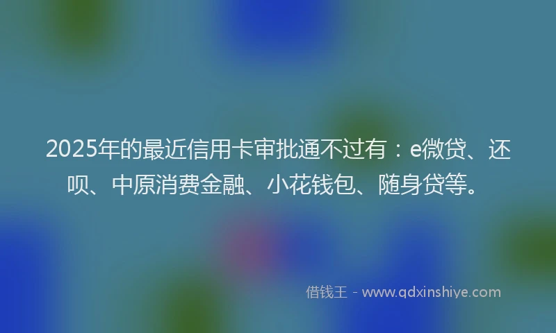2025年的最近信用卡审批通不过有：e微贷、还呗、中原消费金融、小花钱包、随身贷等。