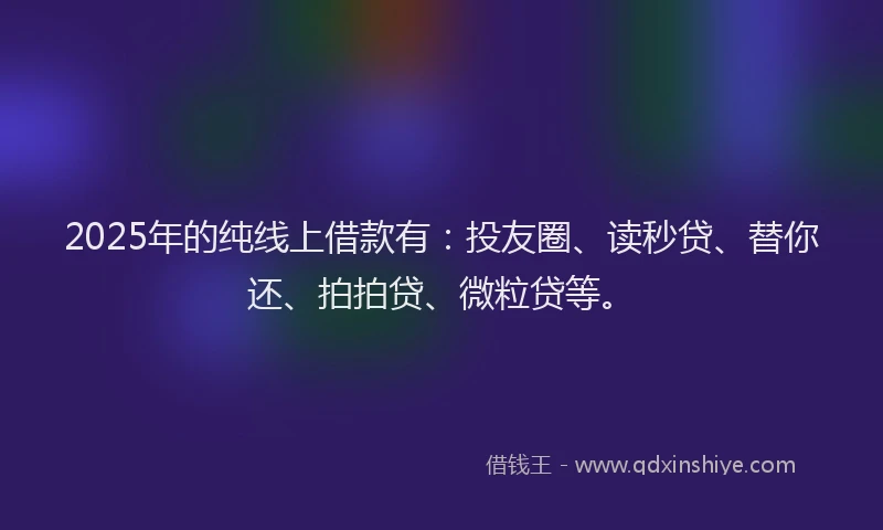 2025年的纯线上借款有：投友圈、读秒贷、替你还、拍拍贷、微粒贷等。
