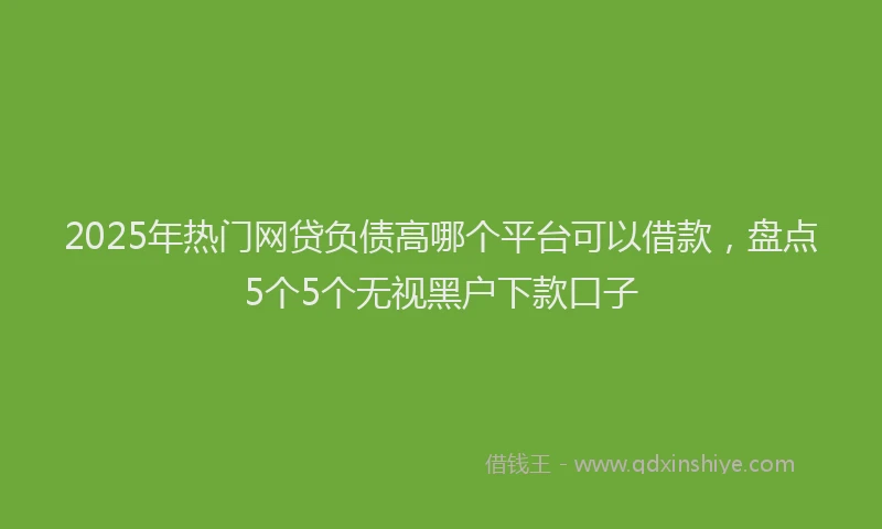 2025年热门网贷负债高哪个平台可以借款，盘点5个5个无视黑户下款口子