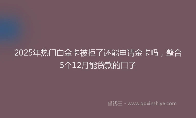 2025年热门白金卡被拒了还能申请金卡吗，整合5个12月能贷款的口子