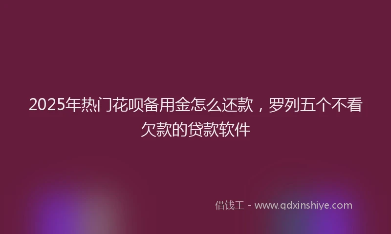 2025年热门花呗备用金怎么还款，罗列五个不看欠款的贷款软件