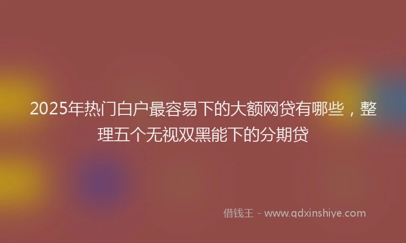 2025年热门白户最容易下的大额网贷有哪些，整理五个无视双黑能下的分期贷