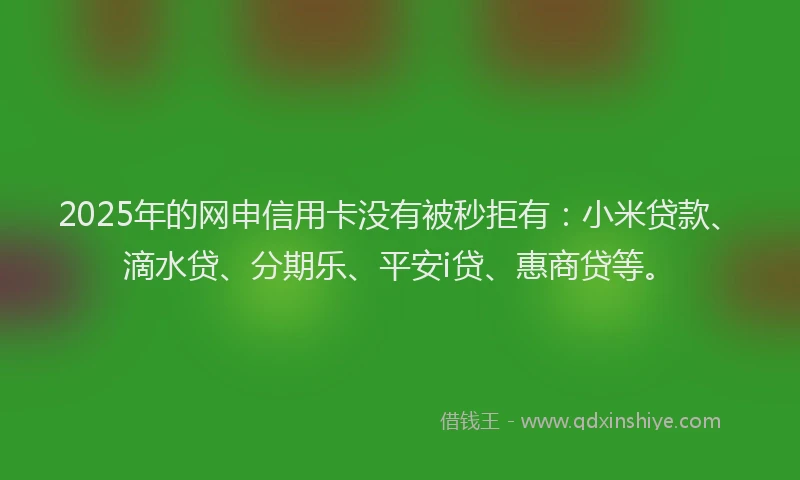 2025年的网申信用卡没有被秒拒有：小米贷款、滴水贷、分期乐、平安i贷、惠商贷等。