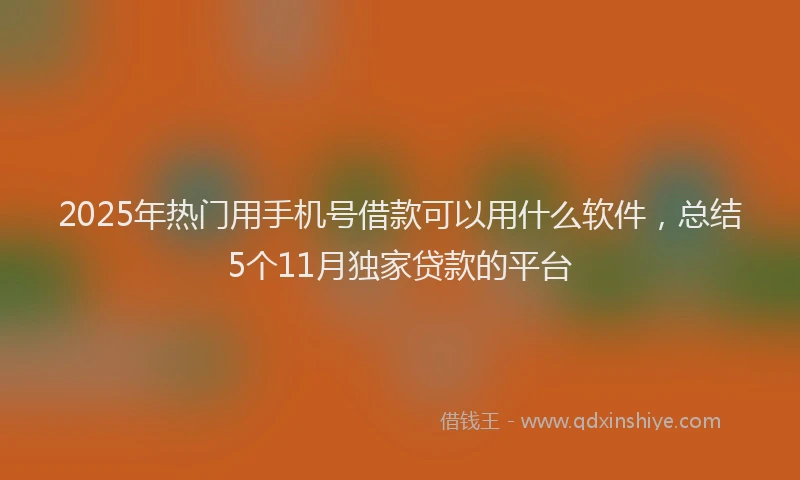 2025年热门用手机号借款可以用什么软件，总结5个11月独家贷款的平台
