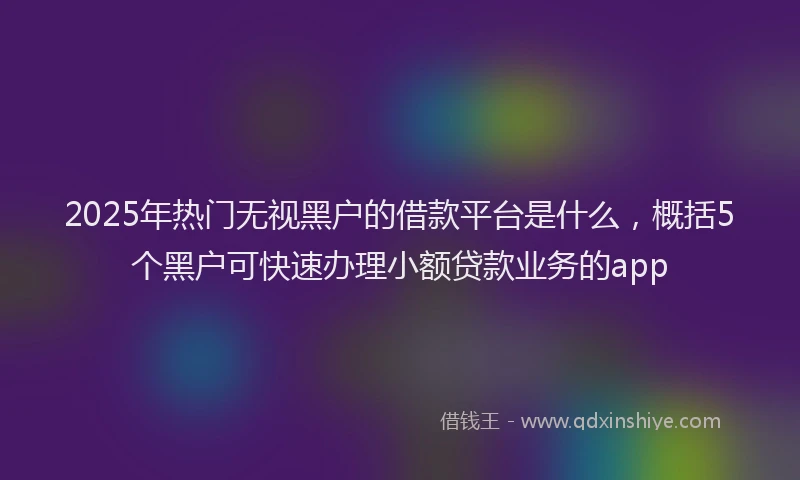 2025年热门无视黑户的借款平台是什么，概括5个黑户可快速办理小额贷款业务的app