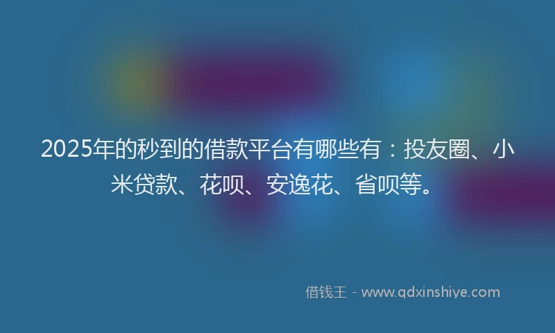 2025年的秒到的借款平台有哪些有：投友圈、小米贷款、花呗、安逸花、省呗等。