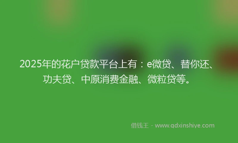 2025年的花户贷款平台上有：e微贷、替你还、功夫贷、中原消费金融、微粒贷等。