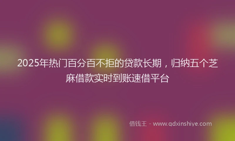 2025年热门百分百不拒的贷款长期，归纳五个芝麻借款实时到账速借平台
