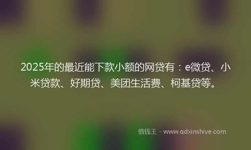 2025年的最近能下款小额的网贷有：e微贷、小米贷款、好期贷、美团生活费、柯基贷等。