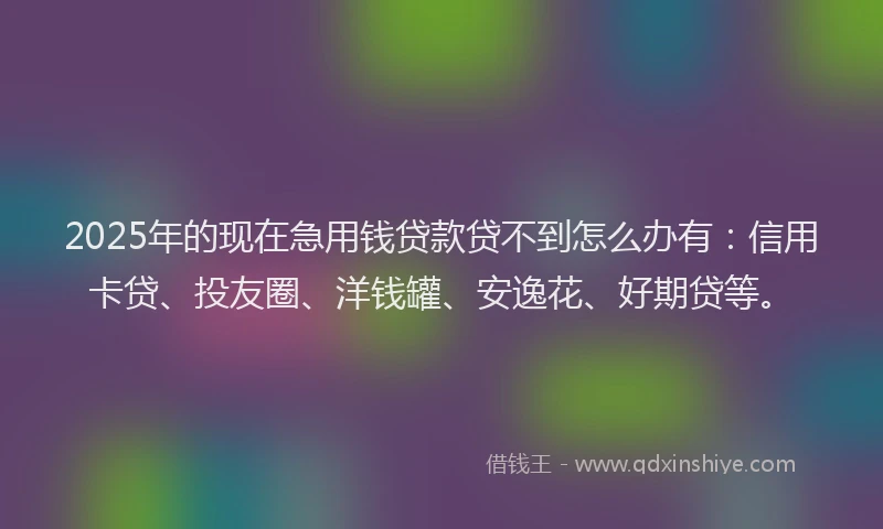 2025年的现在急用钱贷款贷不到怎么办有：信用卡贷、投友圈、洋钱罐、安逸花、好期贷等。