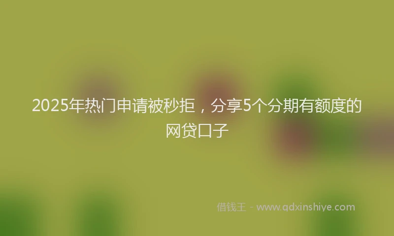 2025年热门申请被秒拒，分享5个分期有额度的网贷口子