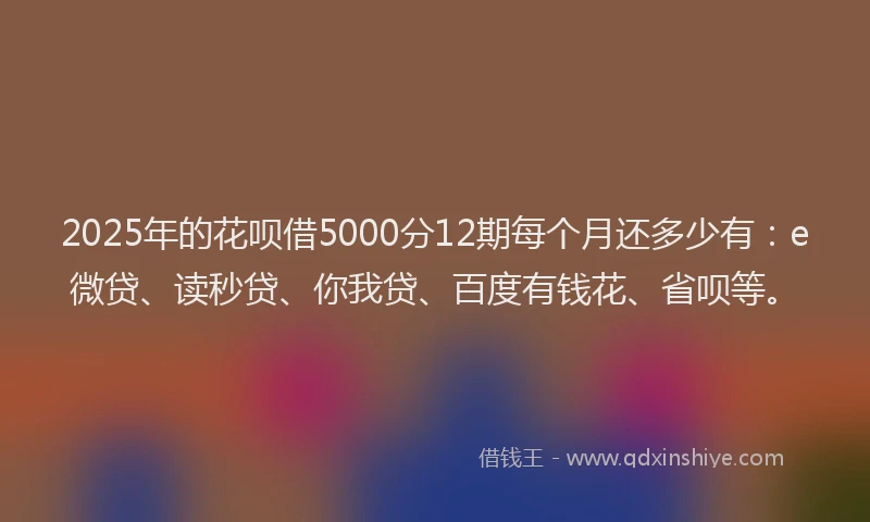 2025年的花呗借5000分12期每个月还多少有：e微贷、读秒贷、你我贷、百度有钱花、省呗等。
