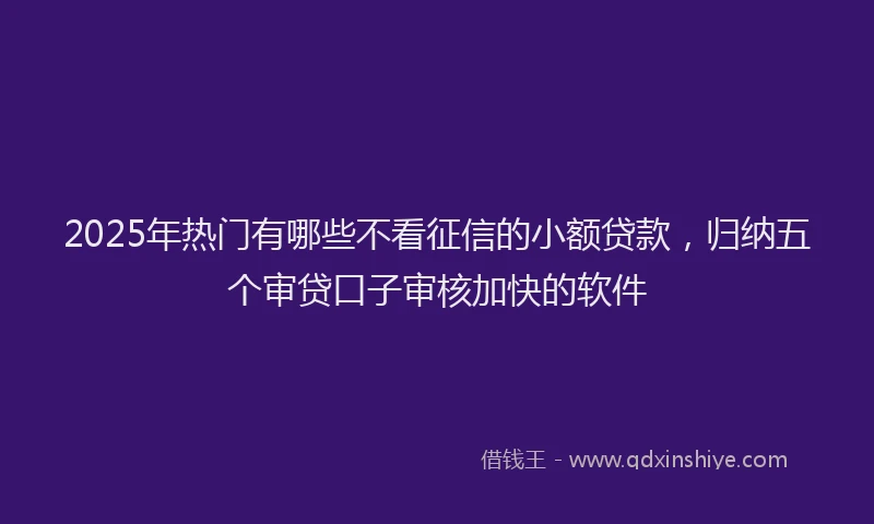 2025年热门有哪些不看征信的小额贷款，归纳五个审贷口子审核加快的软件