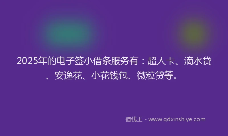 2025年的电子签小借条服务有：超人卡、滴水贷、安逸花、小花钱包、微粒贷等。
