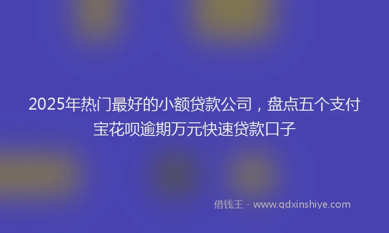 2025年热门最好的小额贷款公司，盘点五个支付宝花呗逾期万元快速贷款口子