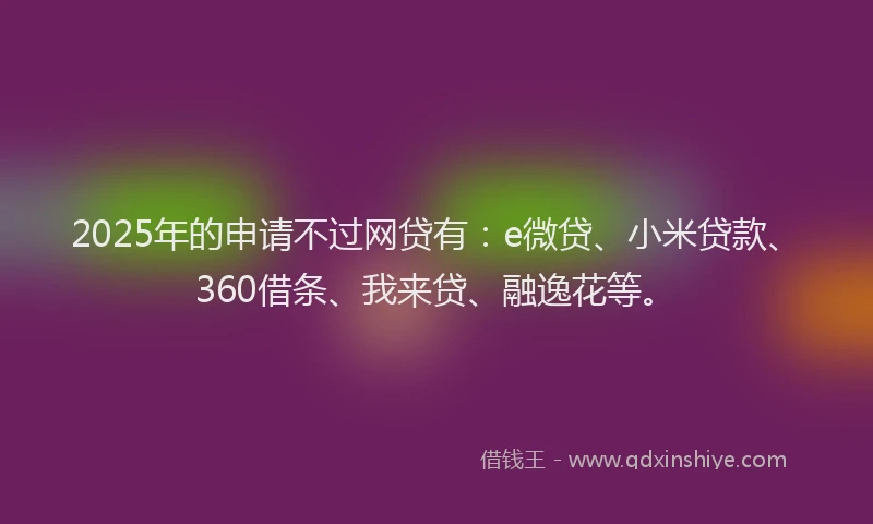 2025年的申请不过网贷有：e微贷、小米贷款、360借条、我来贷、融逸花等。