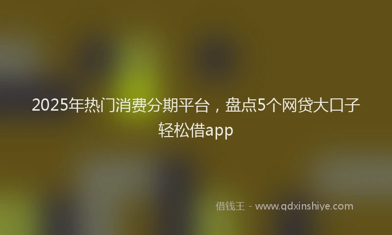 2025年热门消费分期平台，盘点5个网贷大口子轻松借app