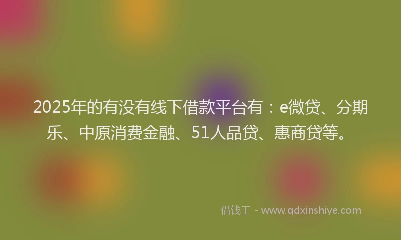 2025年的有没有线下借款平台有：e微贷、分期乐、中原消费金融、51人品贷、惠商贷等。