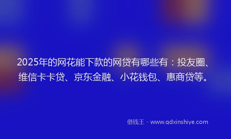 2025年的网花能下款的网贷有哪些有：投友圈、维信卡卡贷、京东金融、小花钱包、惠商贷等。