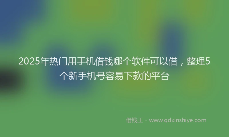 2025年热门用手机借钱哪个软件可以借，整理5个新手机号容易下款的平台