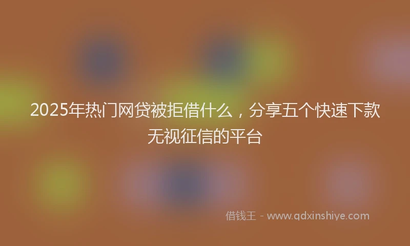 2025年热门网贷被拒借什么，分享五个快速下款无视征信的平台