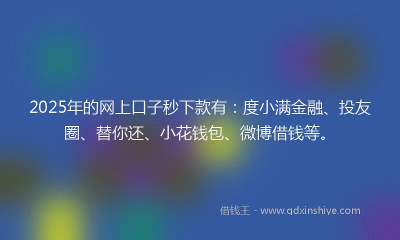 2025年的网上口子秒下款有：度小满金融、投友圈、替你还、小花钱包、微博借钱等。