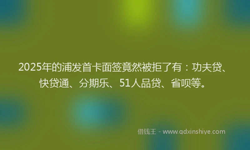 2025年的浦发首卡面签竟然被拒了有：功夫贷、快贷通、分期乐、51人品贷、省呗等。
